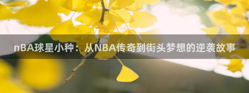 羞羞漫画免费人口：nBA球星小种：从NBA传奇到街头梦想的逆袭故事